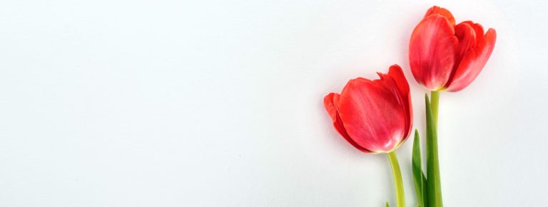 BLEEDING BETWEEN THE MENSES
