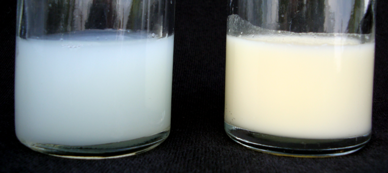 BREASTFEEDING MOTHERS, LACK OF MILK