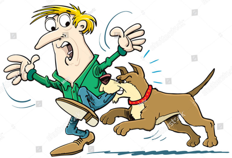 DOG BITE