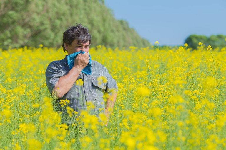 HAY-FEVER