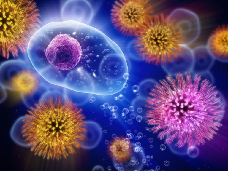 IMMUNE SYSTEM (WEAK)
