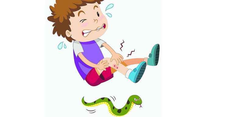 SNAKE BITE